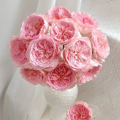 Nicorobin Rose