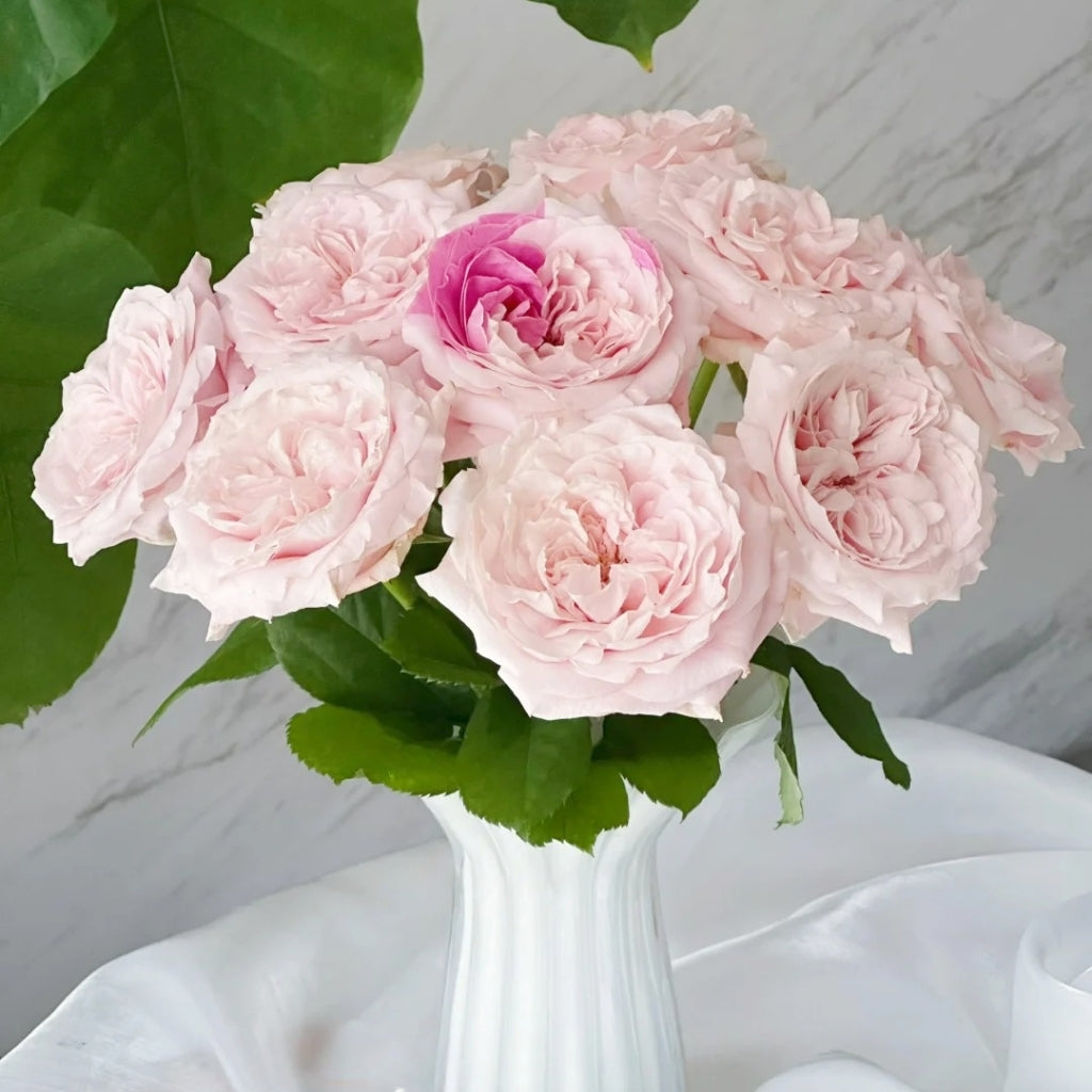 Norma Jean Rose