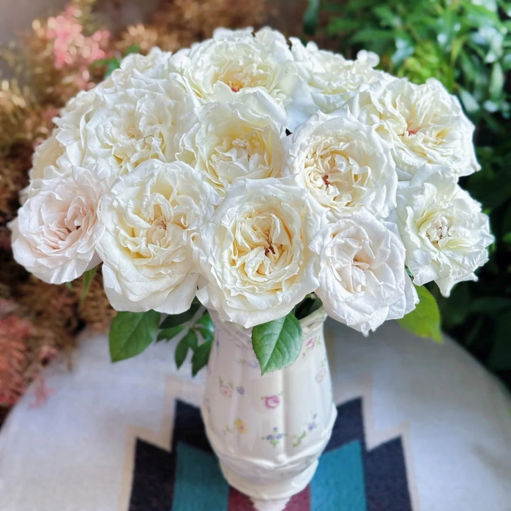 Notebook Rose
