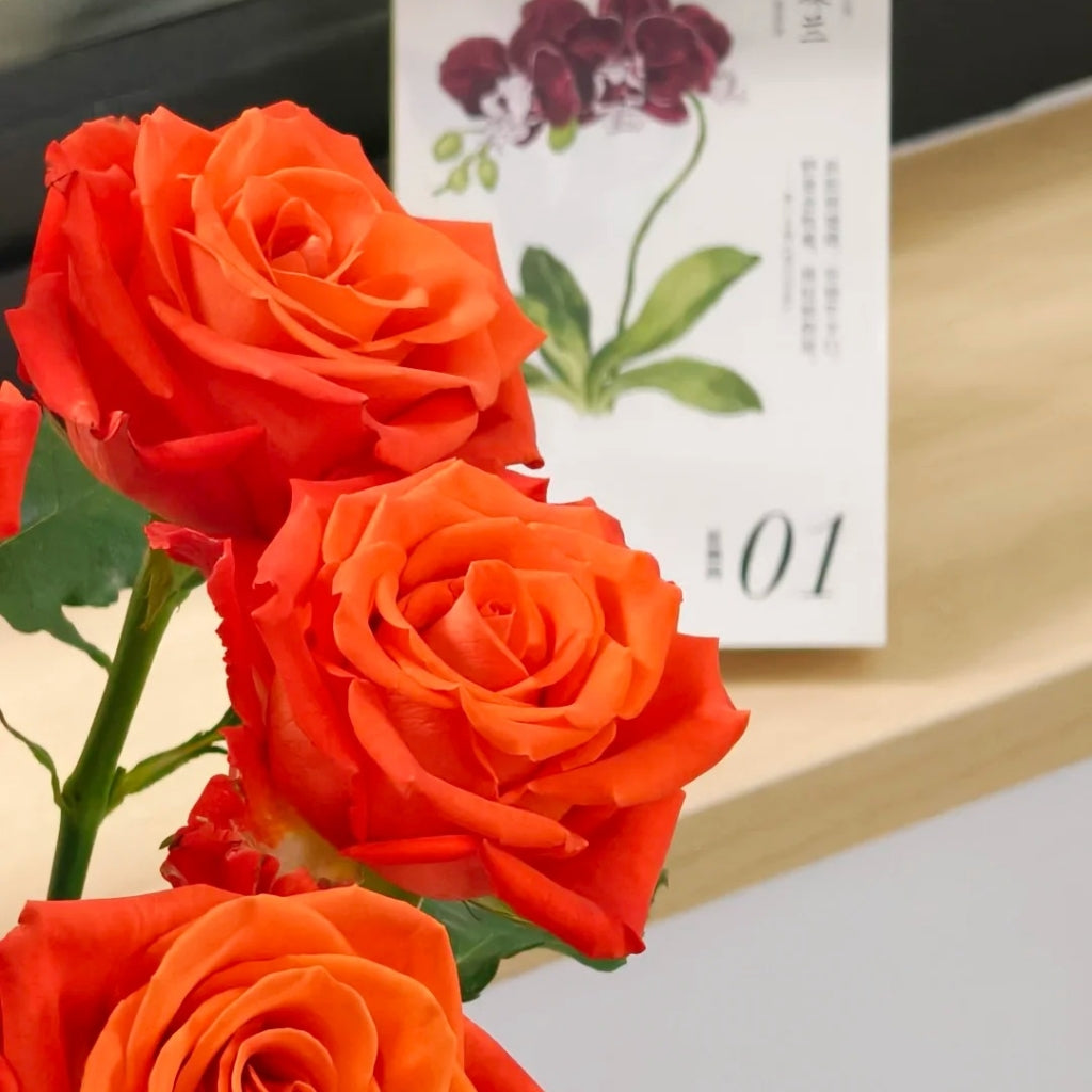Orange Party Rose