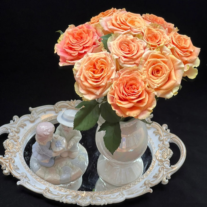 Peach X-pression Rose