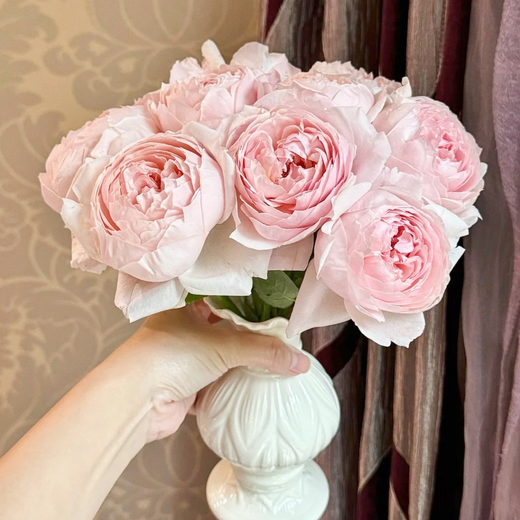 Peony Pink Rose