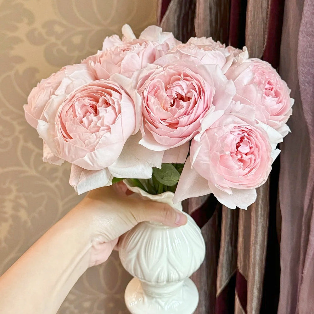 Peony Pink Rose