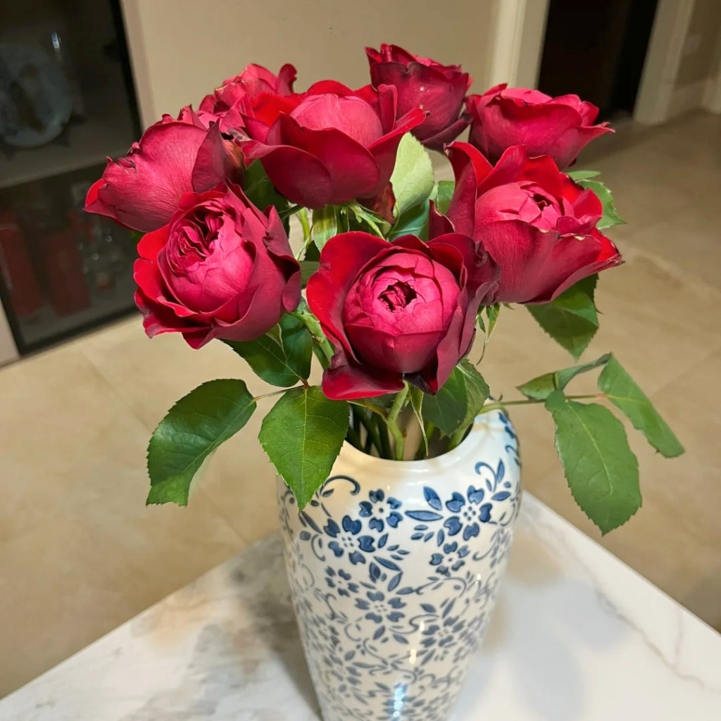 Peony Red Rose