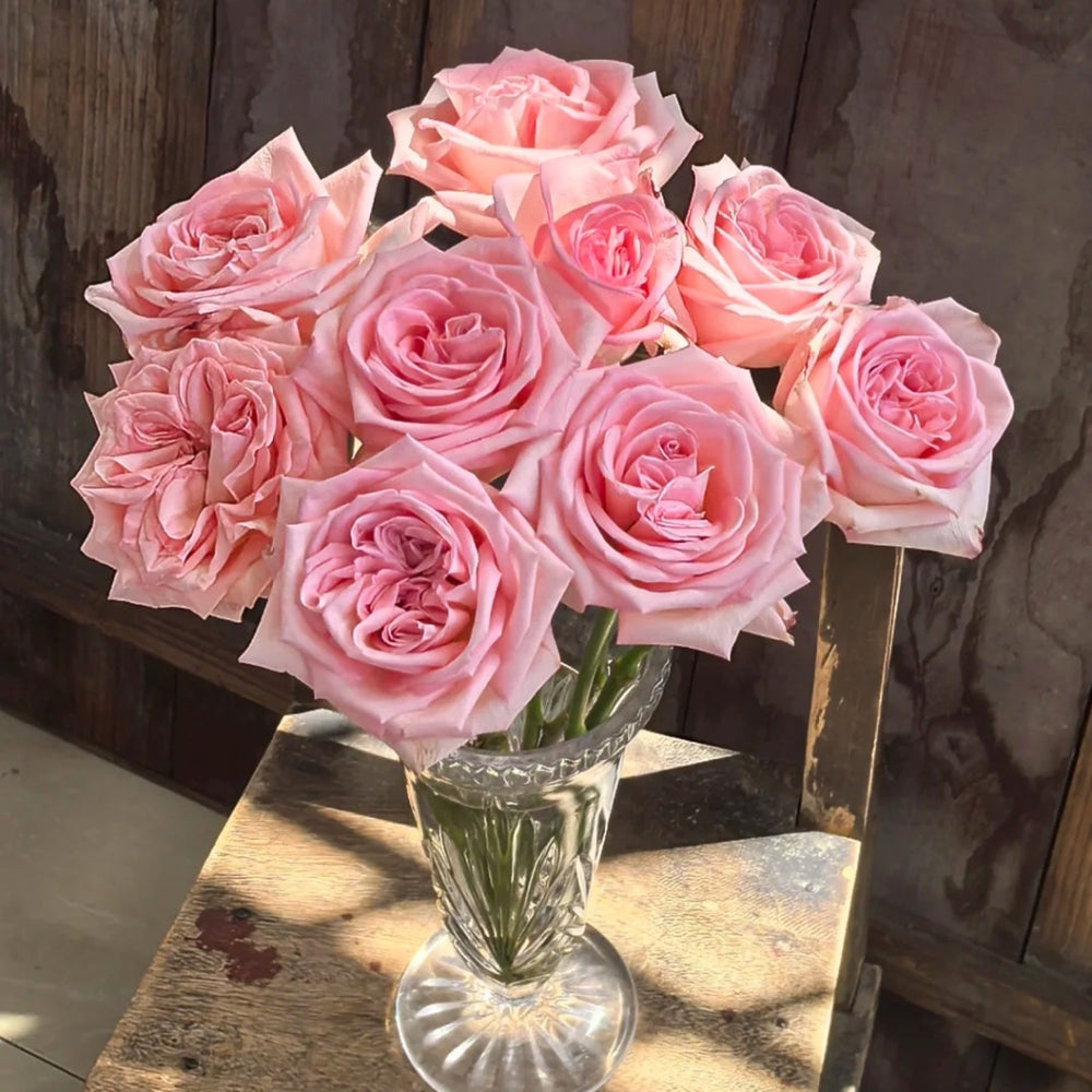 Perfume Pagoda Rose