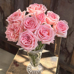 Perfume Pagoda Rose