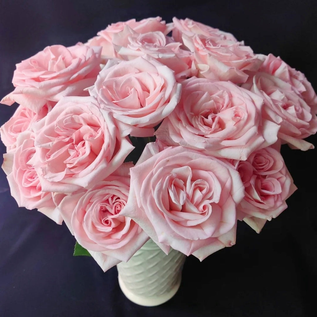 Perfume Pagoda Rose