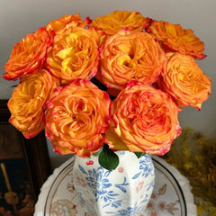 Phoenix Hairpin Rose