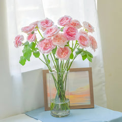 Pink Fragrance Rose