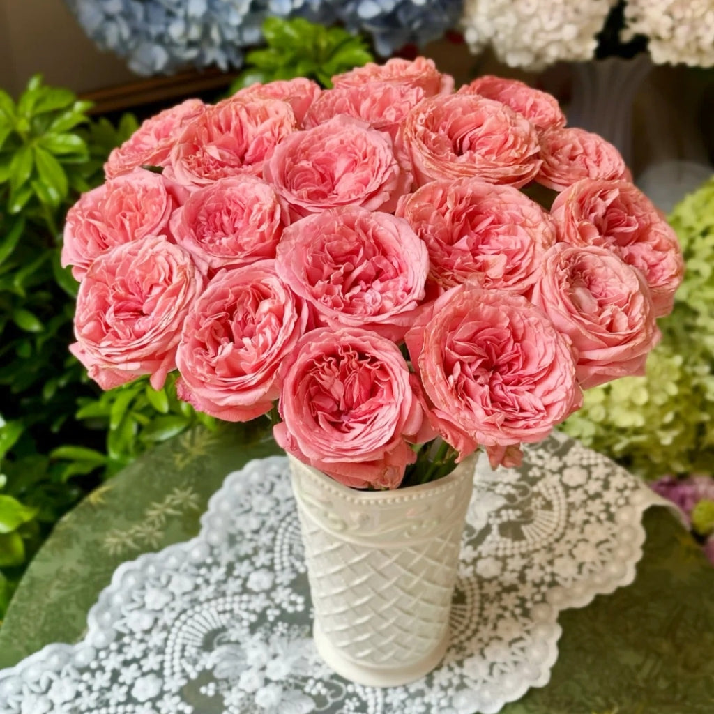 Pink Streetscape Rose