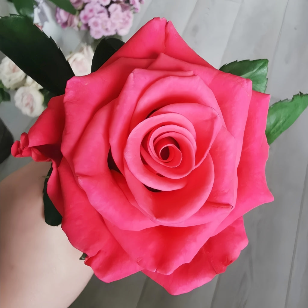 Pink Tacazzi Rose