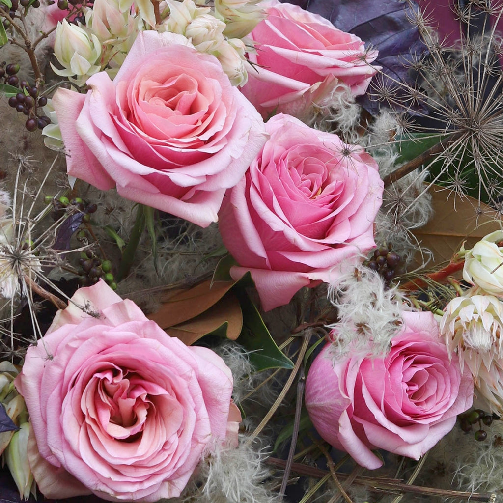 Pink Wave Rose