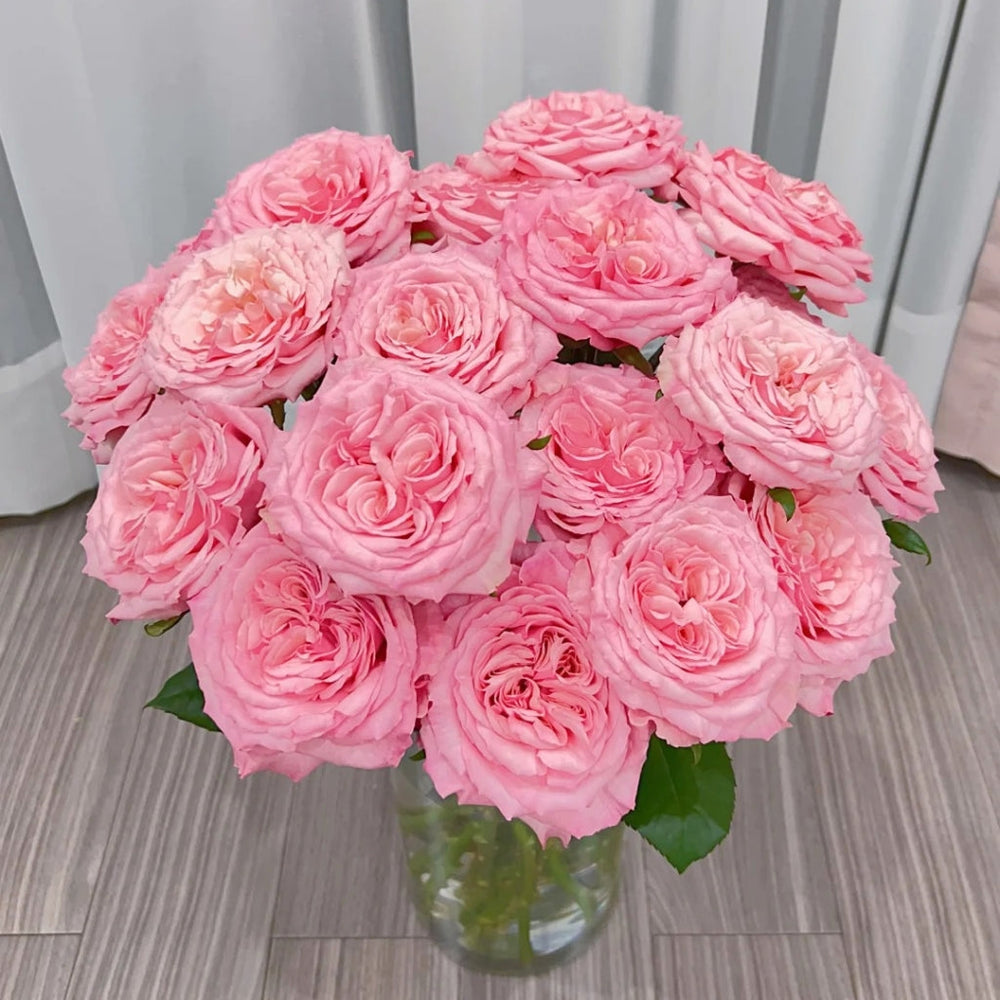 Pink Yan Rose