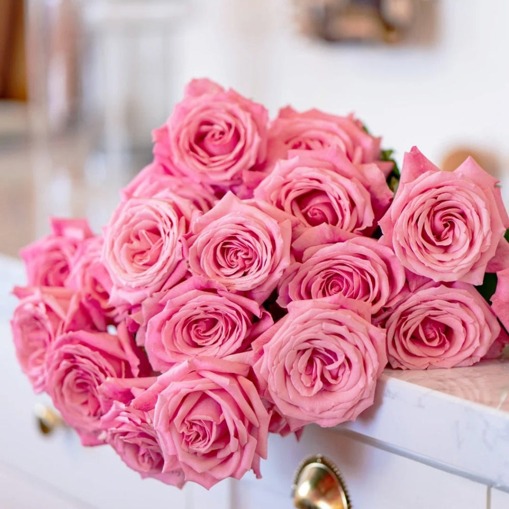 Pink Yan Rose