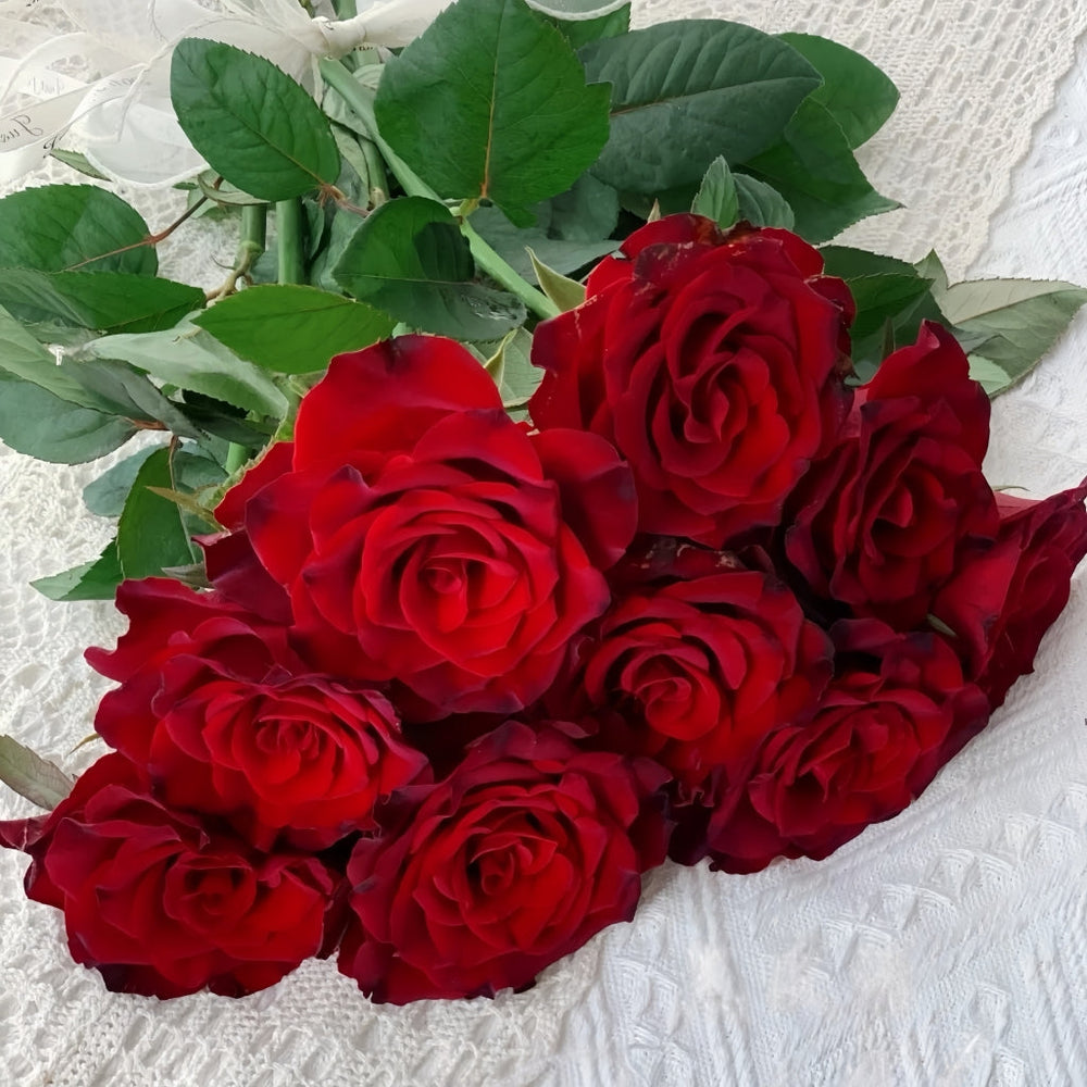 Pinot Noir Rose