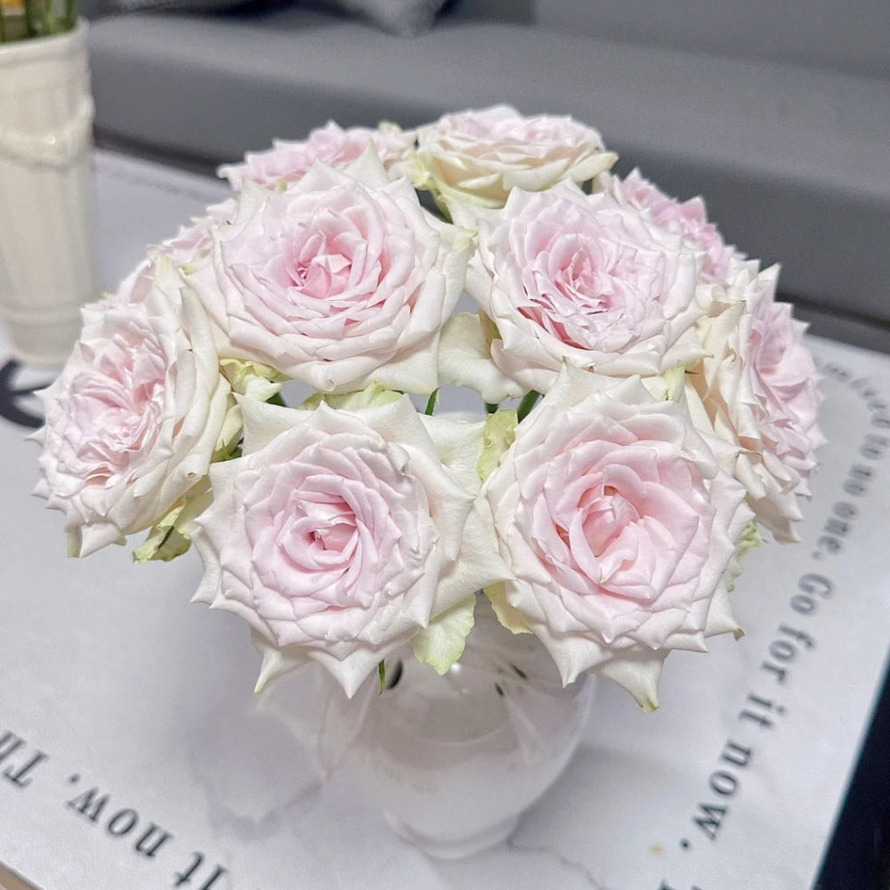 Pomelo Rose