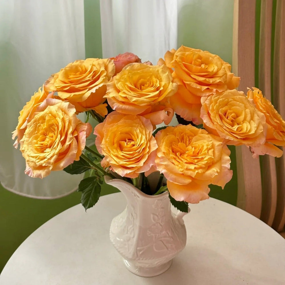 Poxiao Rose