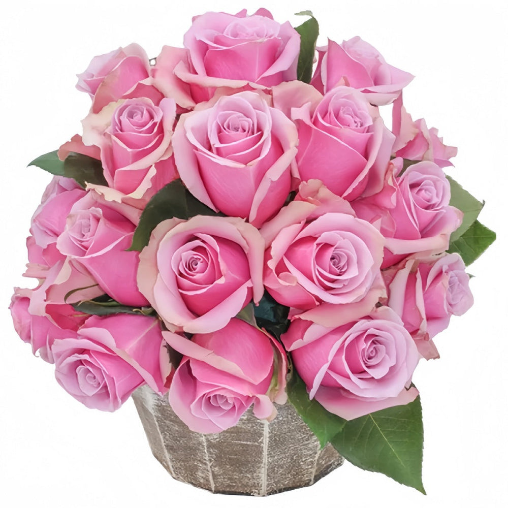 Prime Time Rose
