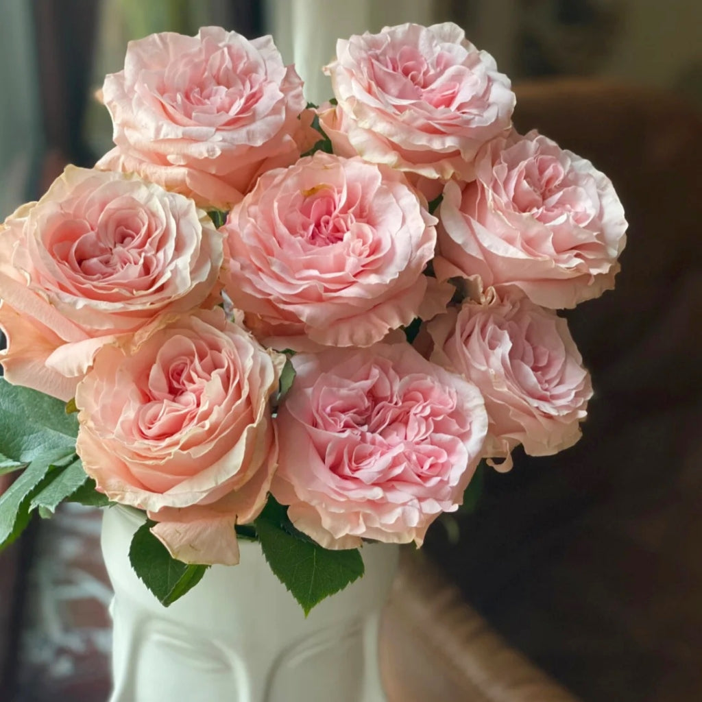 Princess Crown Rose