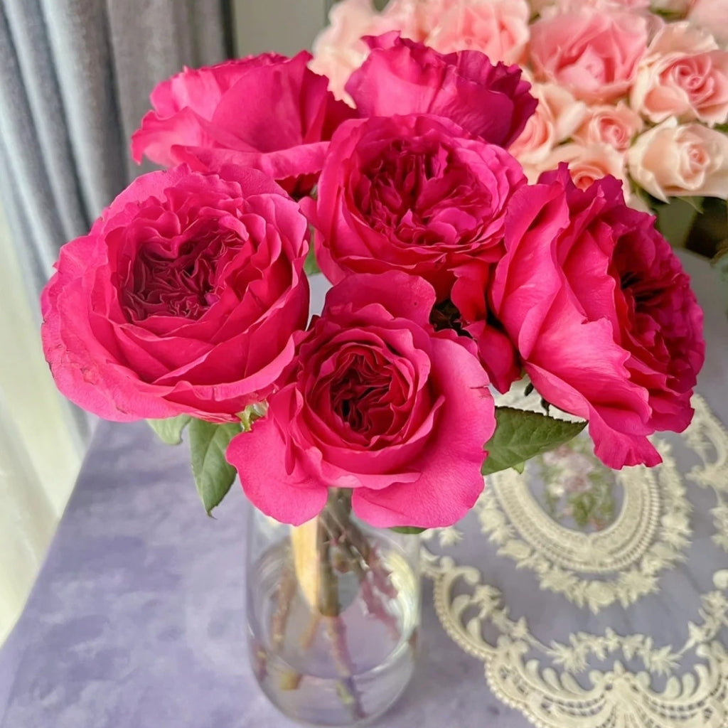 Princess Kishi Rose