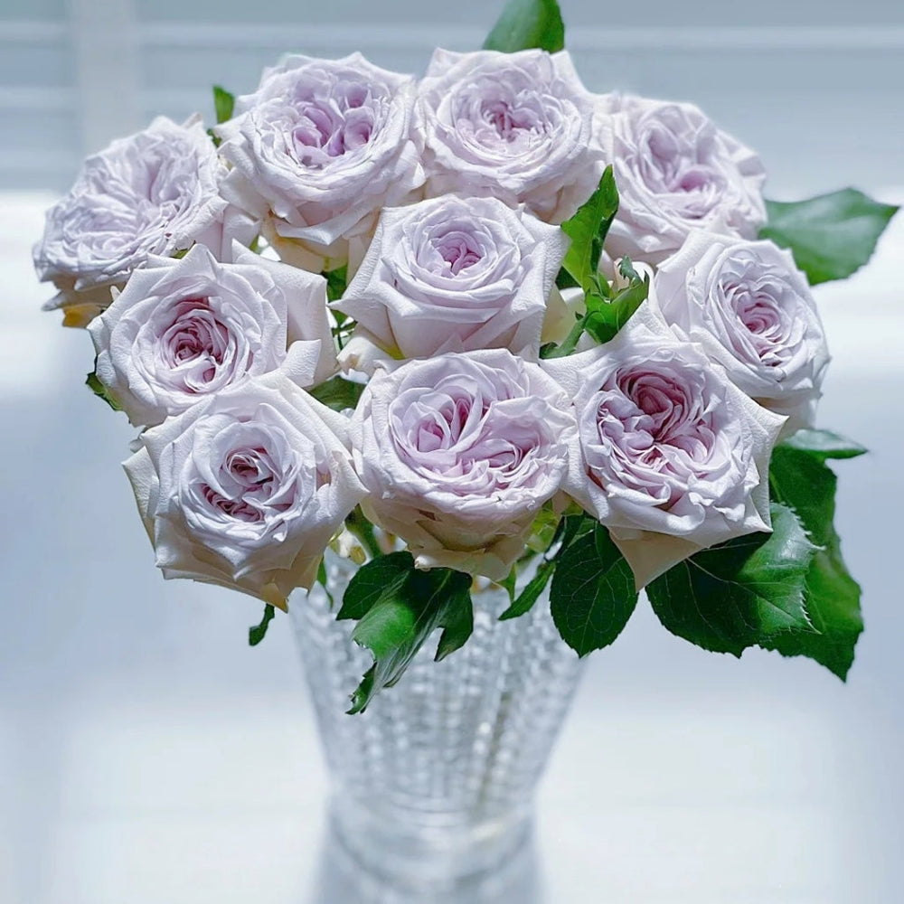 Purple lychee Rose