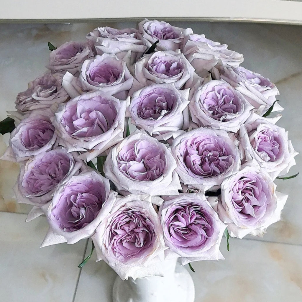 Purple lychee Rose