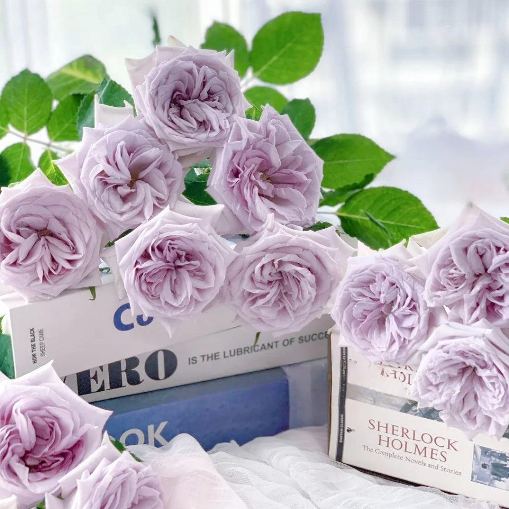 Purple lychee Rose