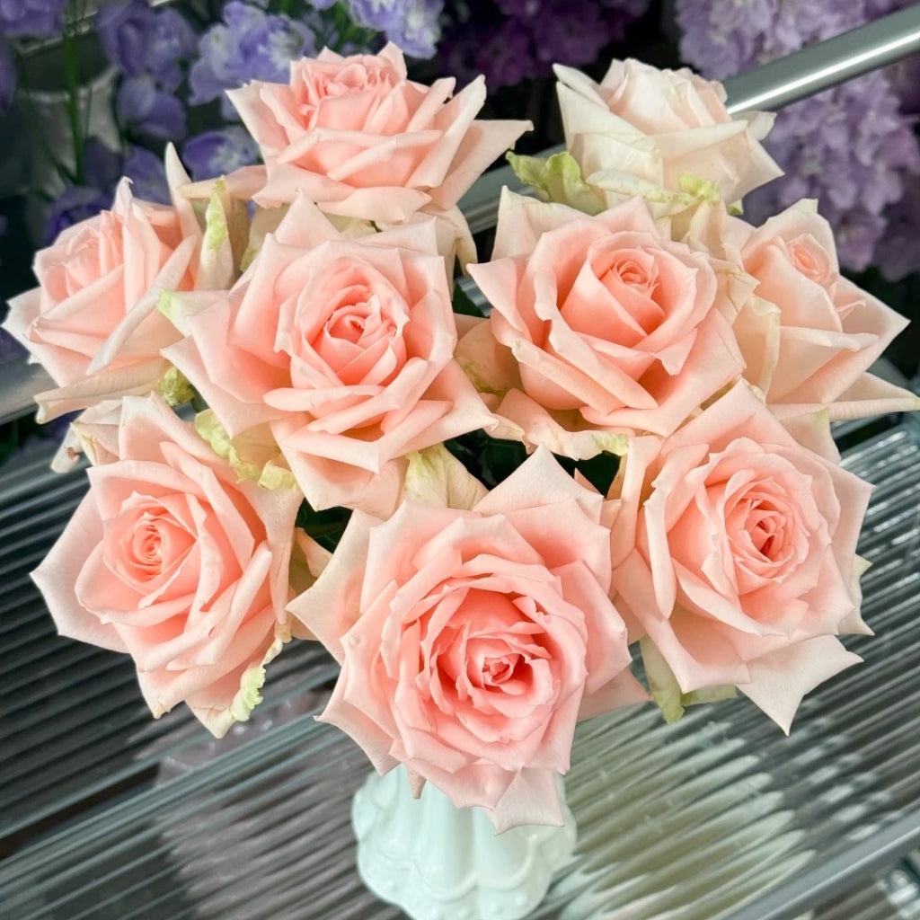 Qiaochu Rose