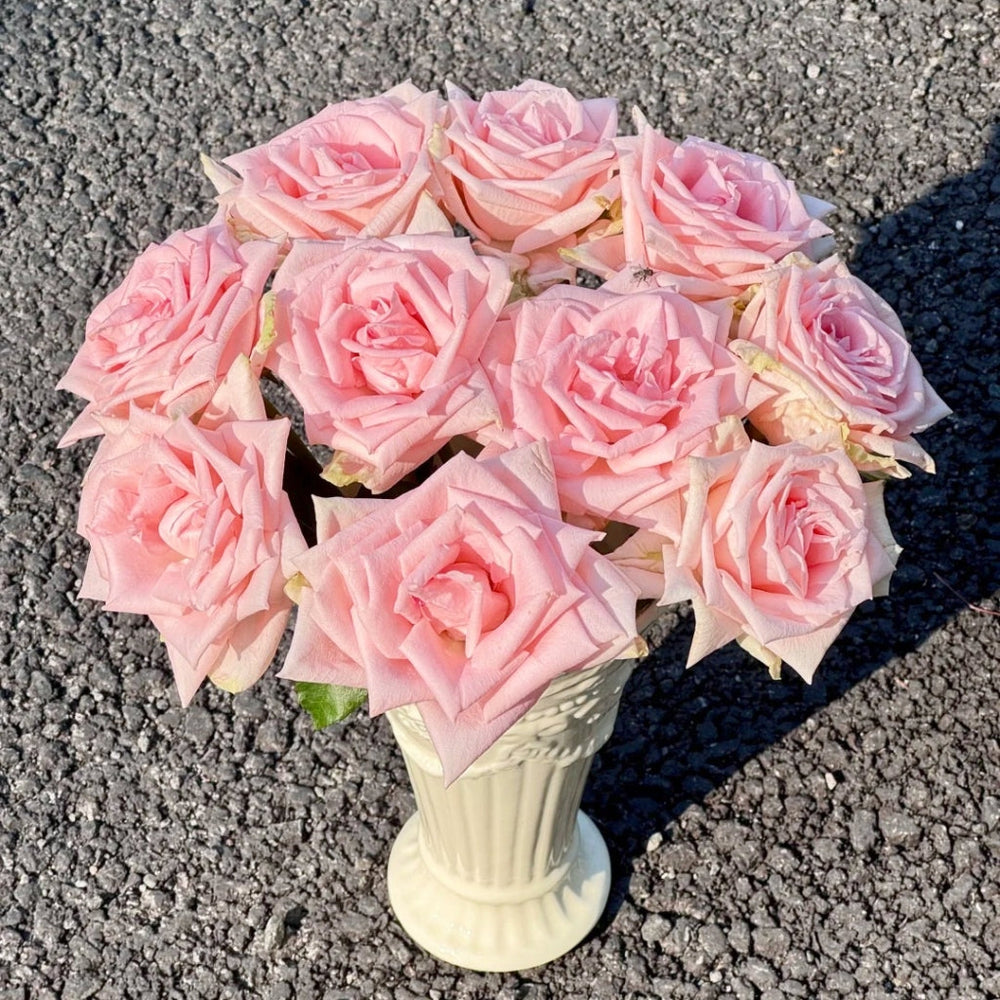 Qiaochu Rose