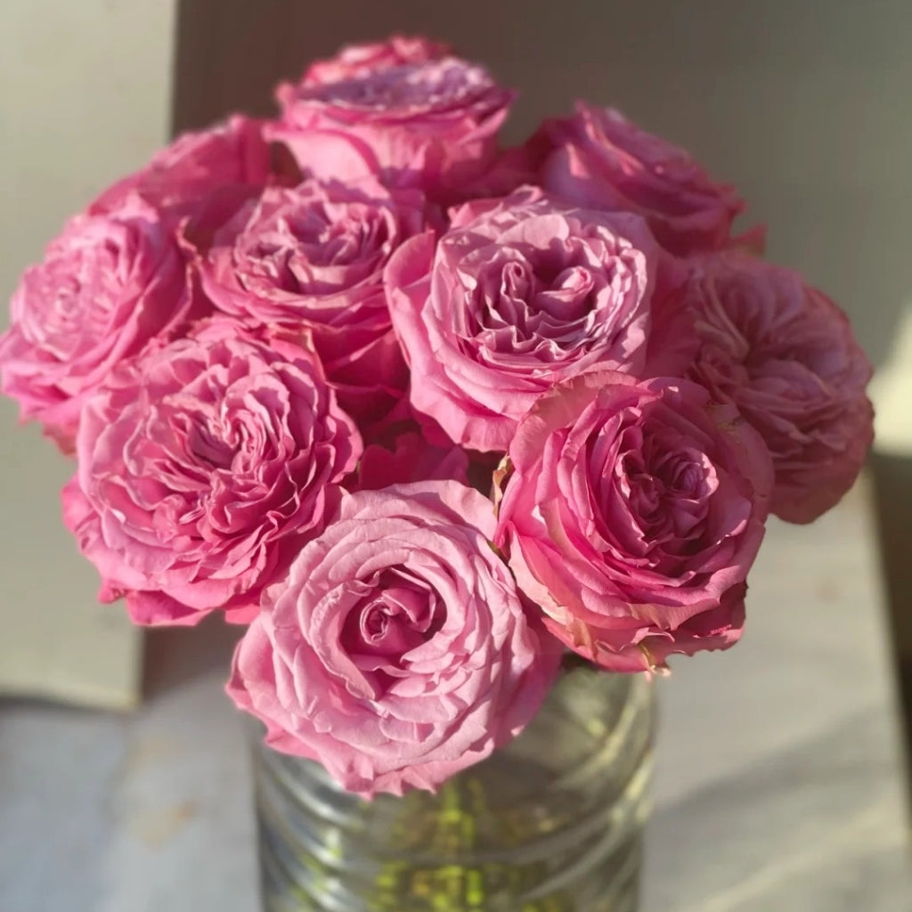 Queen's Crown Rose