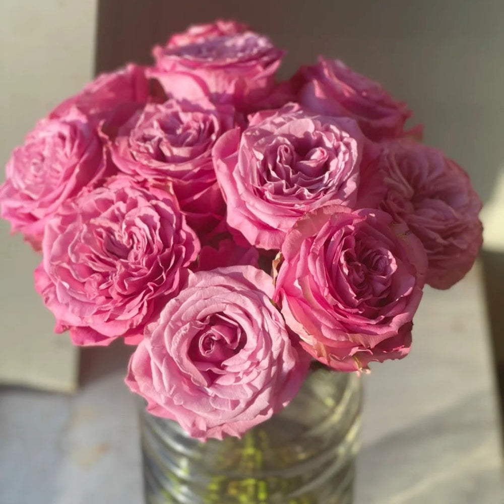 Queen's Crown Rose