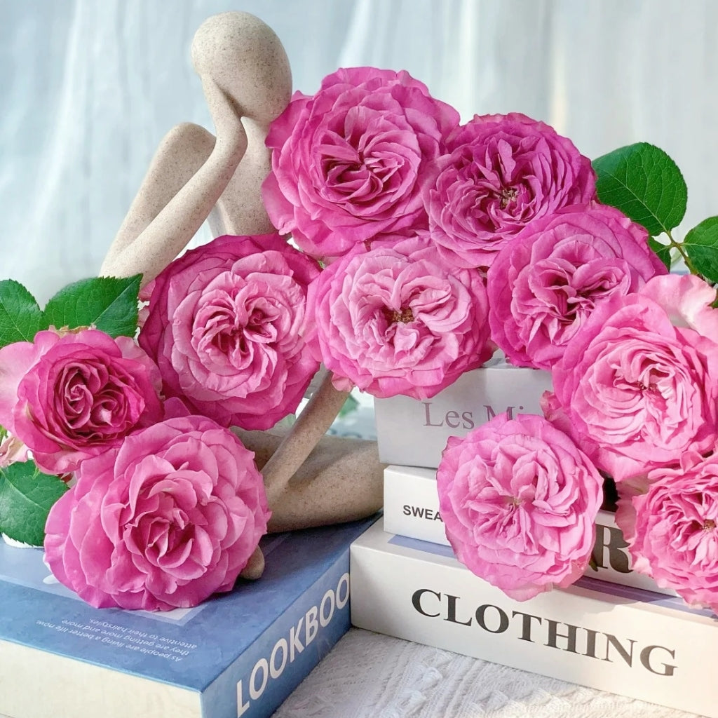 Queen's Crown Rose