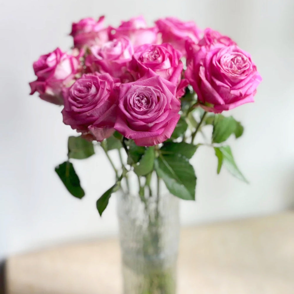 Queen's Crown Rose