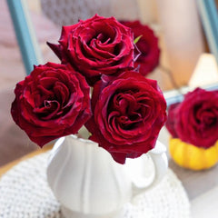 RP Black Pearl Rose