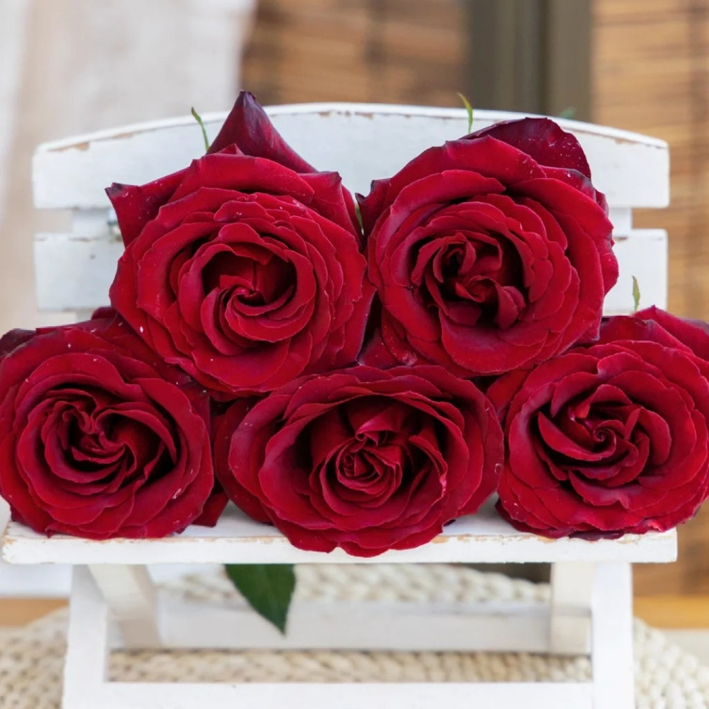 RP Black Pearl Rose