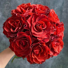 RP Espresso Rose