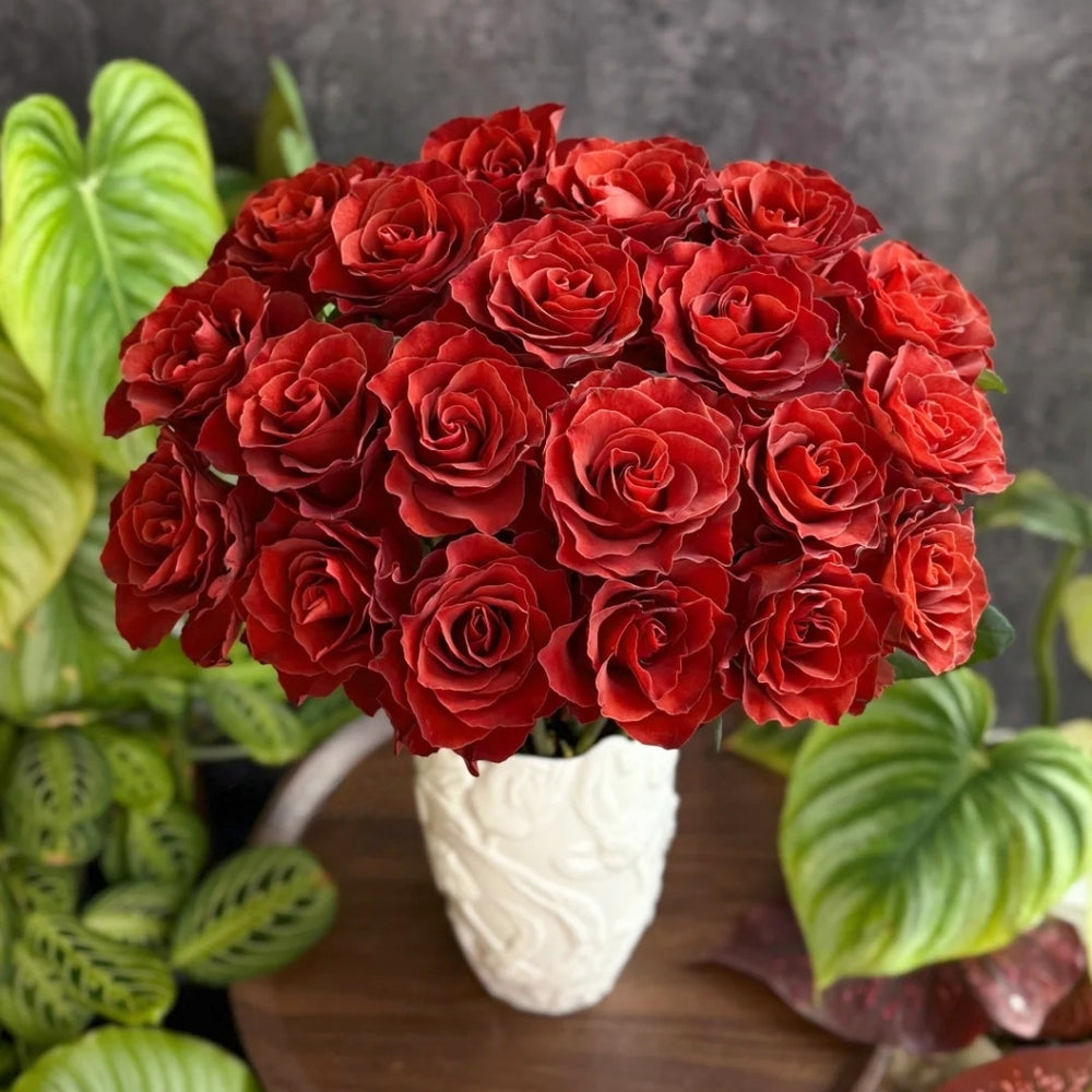 RP Espresso Rose