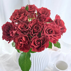 RP Espresso Rose