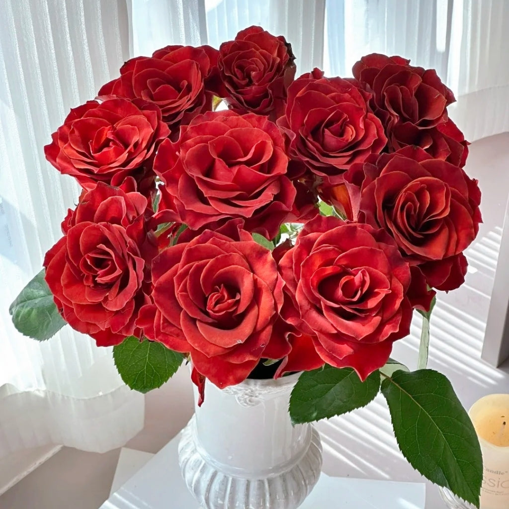 RP Espresso Rose