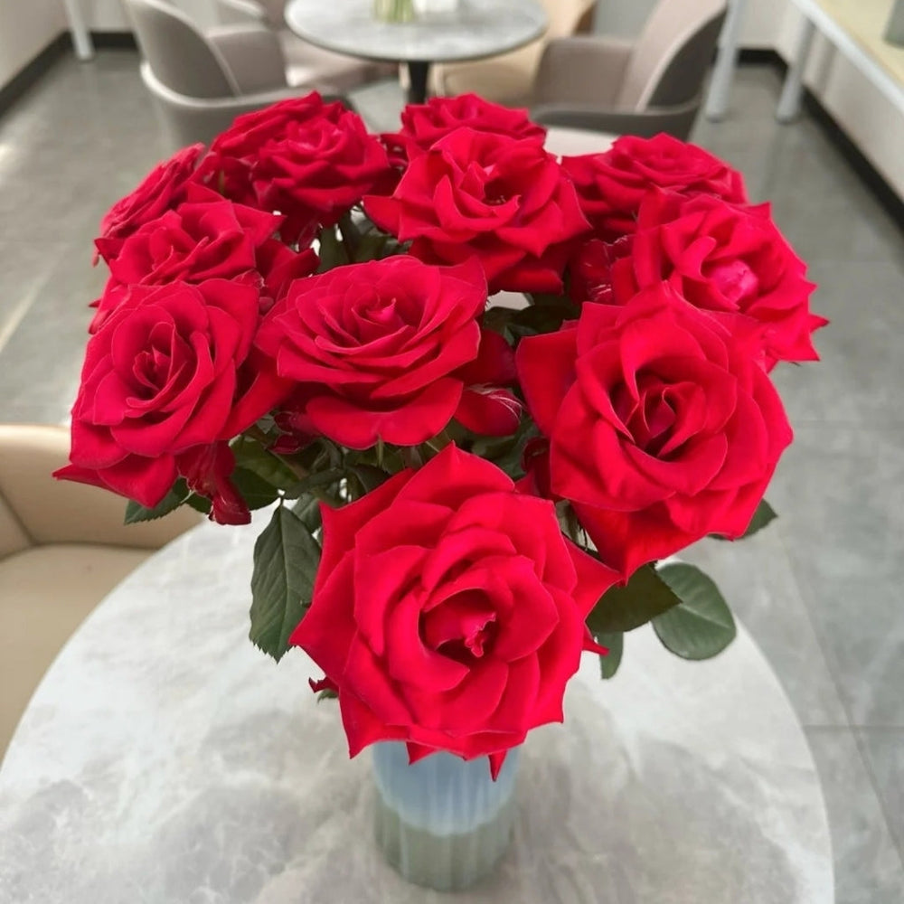 Red Feather Rose