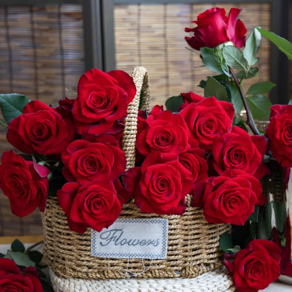 Red Feather Rose