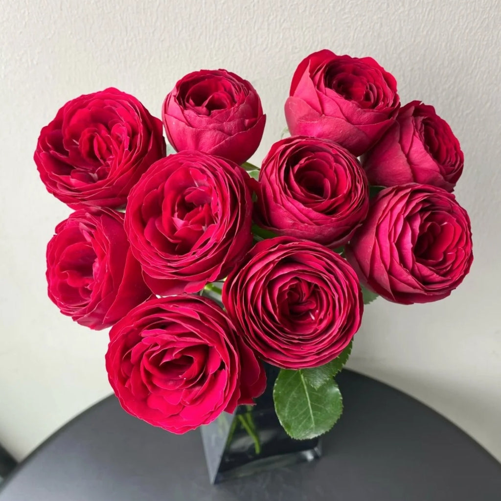 Red Lace Rose