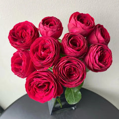 Red Lace Rose