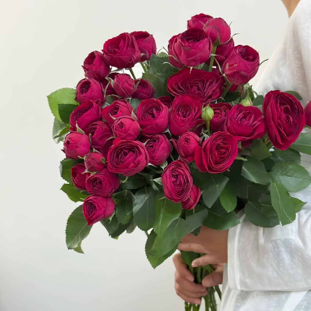 Red Lace Rose