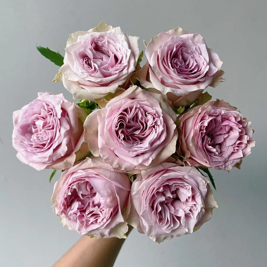 Retro Love Rose