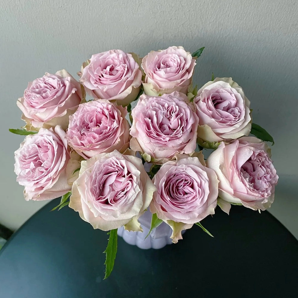 Retro Love Rose