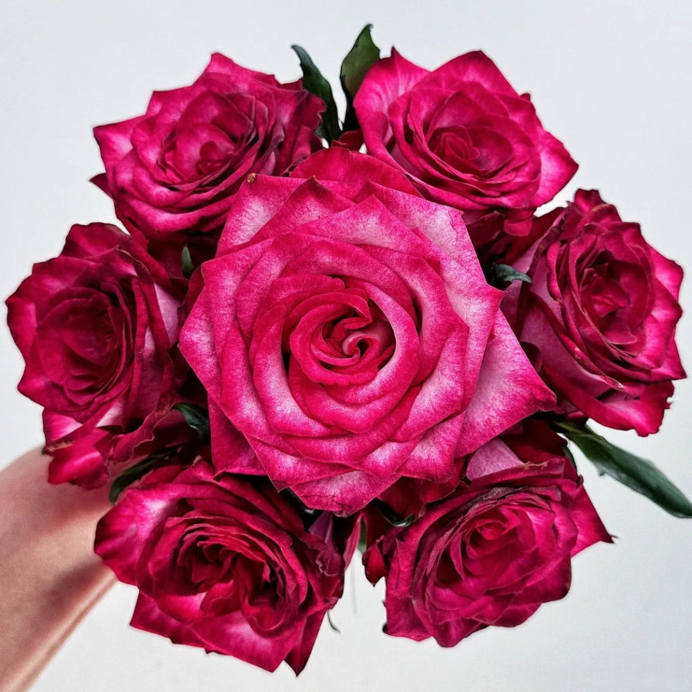 Ripasso Rose