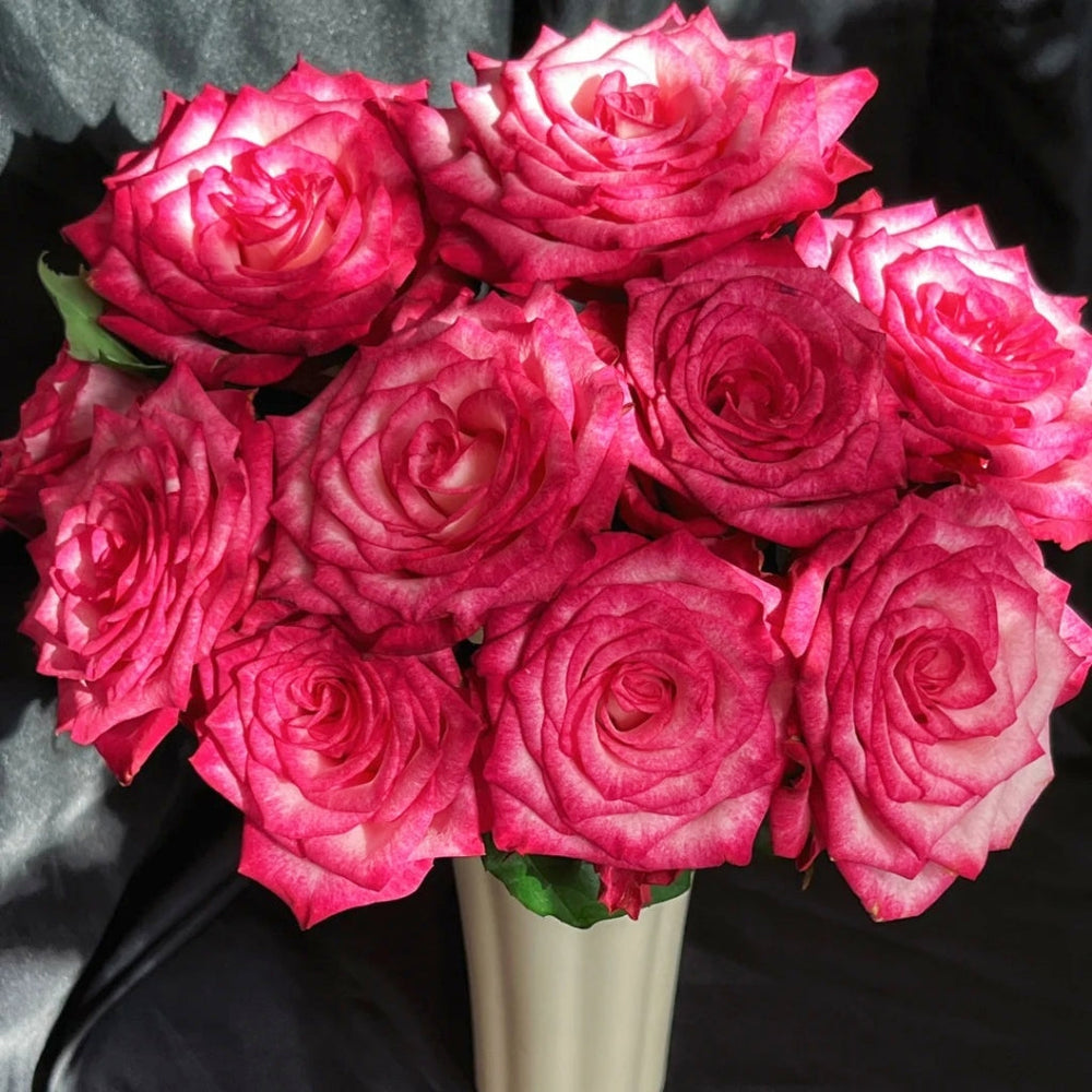 Ripasso Rose