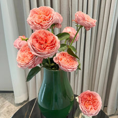 Romantic Antike Rose