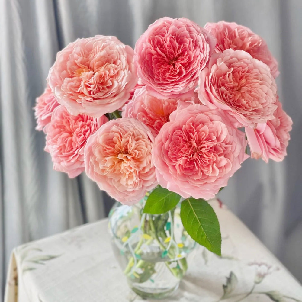 Romantic Antike Rose